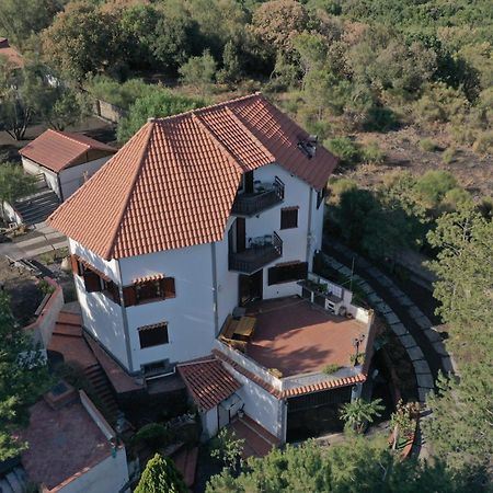 Villa Joele نيكولوسي المظهر الخارجي الصورة