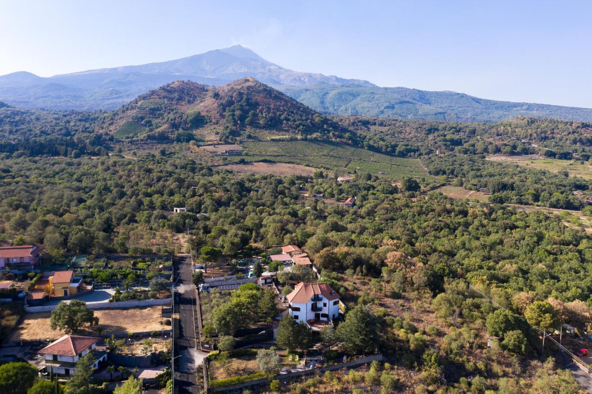 Villa Joele نيكولوسي المظهر الخارجي الصورة
